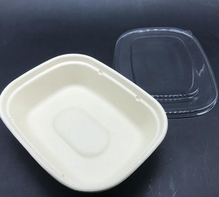 Bio conteneur de nourriture de vaisselle de canne à sucre de forme du rectangle U de Sald avec le couvercle transparent