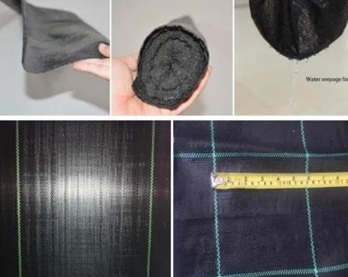PP à haute perméabilité UV Mat de lutte contre les mauvaises herbes noir et vert