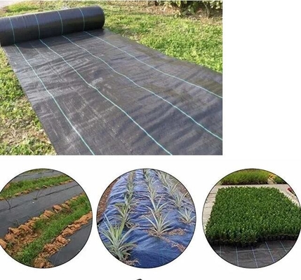 PP à haute perméabilité UV Mat de lutte contre les mauvaises herbes noir et vert