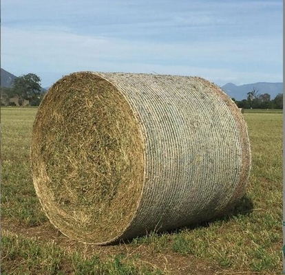 Réseau d'emballage pour l'agriculture en plastique HDPE de haute qualité