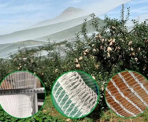 100% PE Blanc de couleur transparente Serre Réseau anti-insectes pour les plantes et les raisins