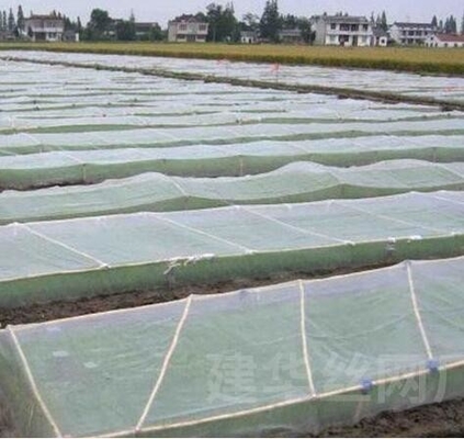 40 50 60 Maillage 125g Serre agricole Réseau anti-insectes avec impression acceptable