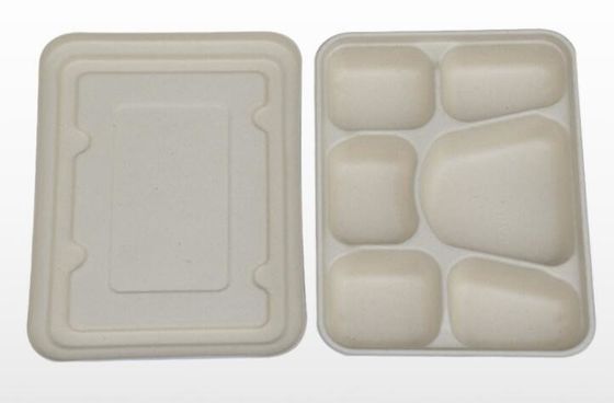 Blé dégradable Straw Disposable Lunch Box de vaisselle de compartiment de FDA 6