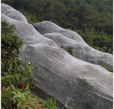 100% PE Blanc de couleur transparente Serre Réseau anti-insectes pour les plantes et les raisins